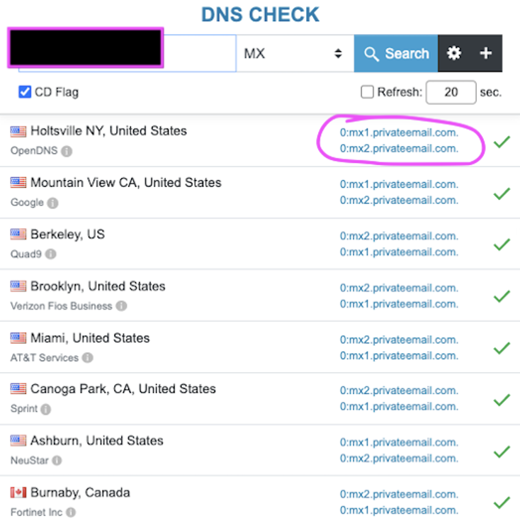 screenshot of website to double check that your shopify dns is set up properly