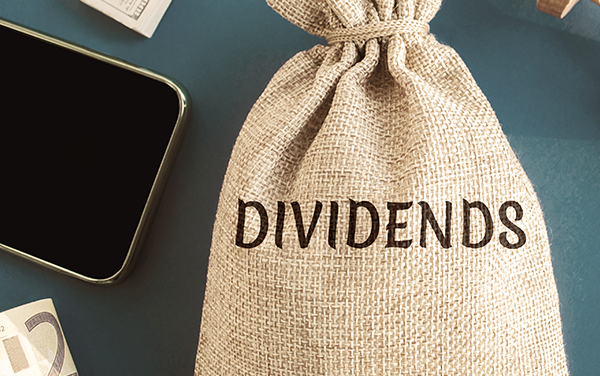 Should I Buy Dividend Stocks?