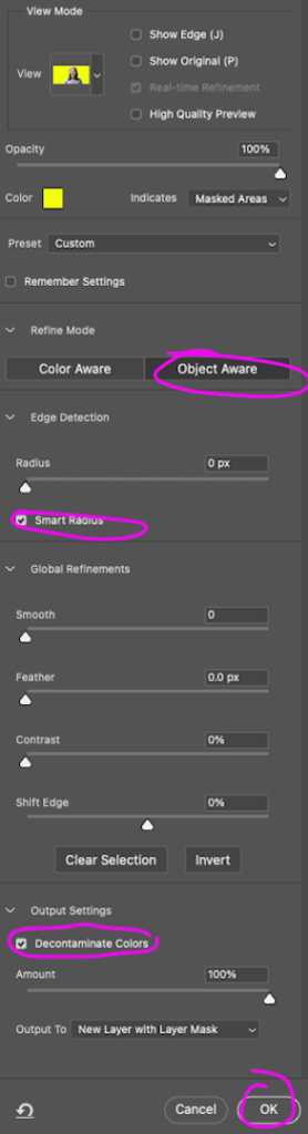 Settings to tell the Photoshop AI to separate out the background color from the subject