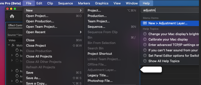 adjustment layer in premiere pro is greyed out in main menu